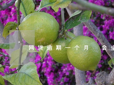 网贷逾期一个月 会坐牢吗 网贷逾期一个月 会坐牢吗